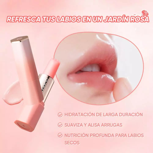 Bálsamo Labial Hidratante SPF30