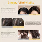 Shampoo Anticaída Ginger
